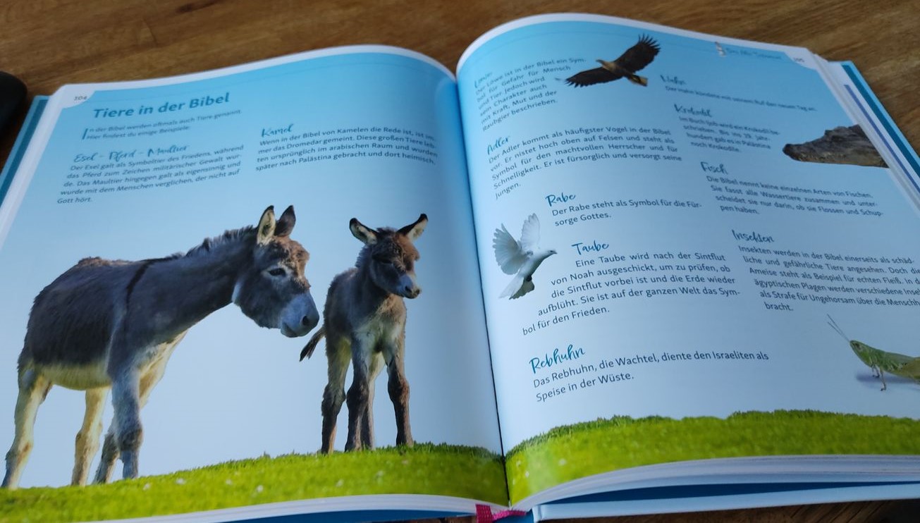 Bild 13: Wissens Bibel für Kinder